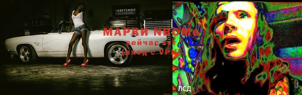 прущие грибы Абаза