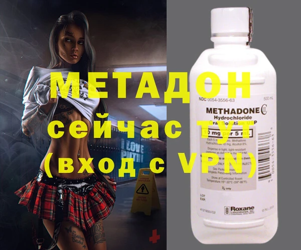 прущие грибы Абаза