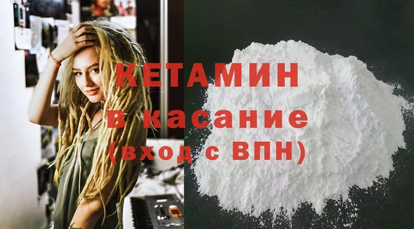 прущие грибы Абаза