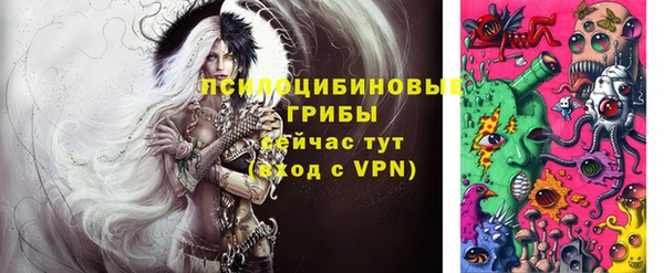 прущие грибы Абаза
