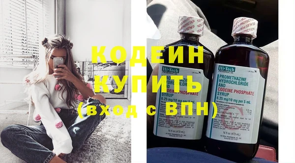 прущие грибы Абаза