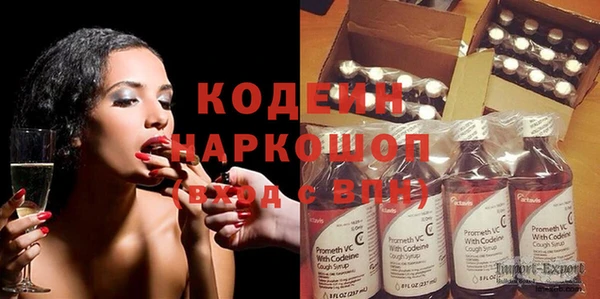 прущие грибы Абаза