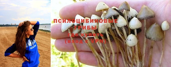 стаф Абдулино